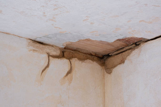 Best 24/7 water damage repair  in Kearney Park, MS