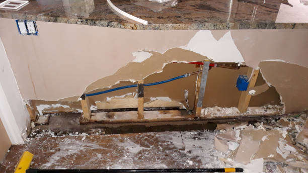 Best Flooded house restoration  in Kearney Park, MS