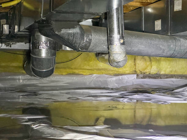Carpet water damage restoration in MS