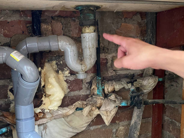 Best Professional water damage repair  in Kearney Park, MS