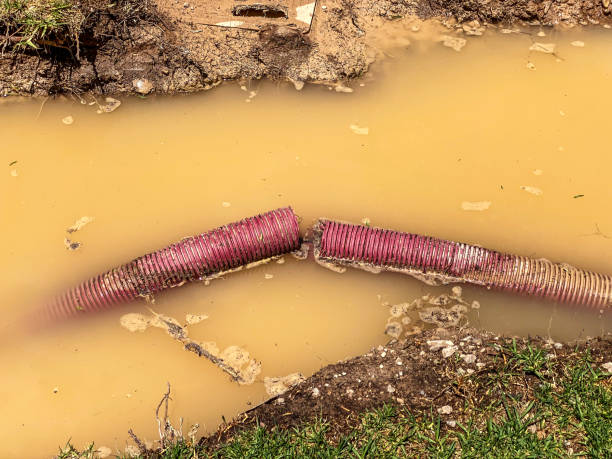Best Water damage restoration company  in Kearney Park, MS